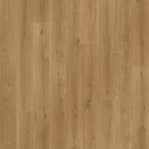 Savannah Algerian Oak 664m